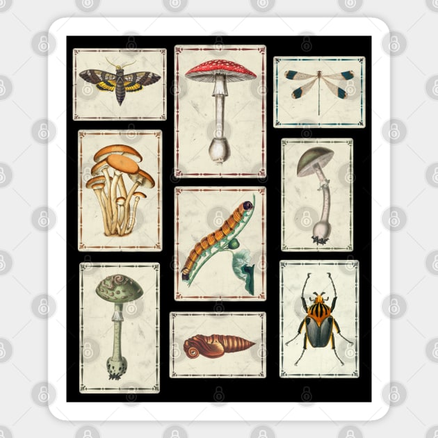 Cottagecore Goblincore Dark Academia Mushroom and Insect Sticker by Huhnerdieb Apparel